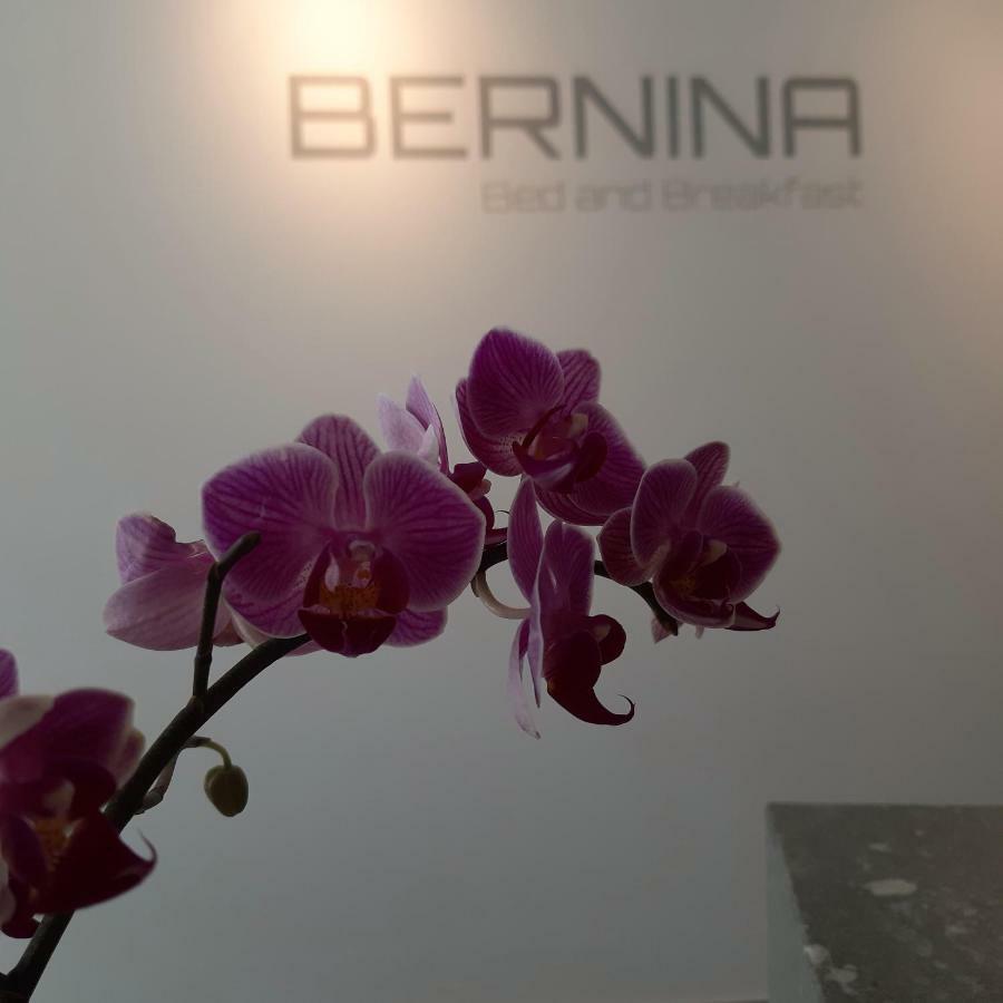 Bernina Bed And Breakfast Davos Buitenkant foto